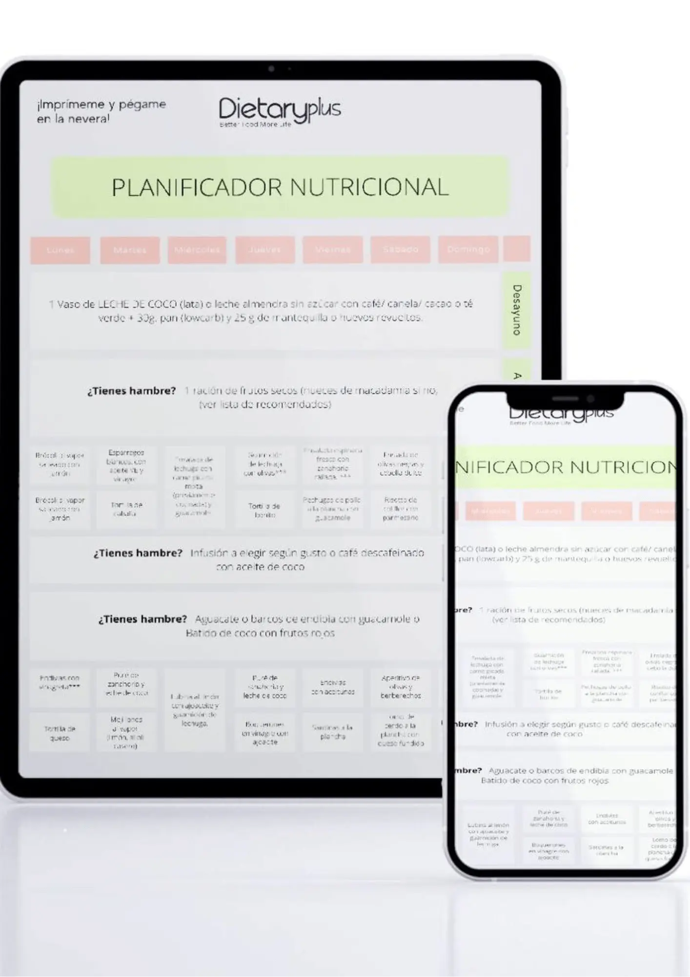 Descarga tu plan nutricional Redox Dieta Redox 7 días gratis - Plan nutricional personalizado DietaryPlus Zaragoza